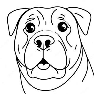 Rottweiler Coloring Page 30753-24630