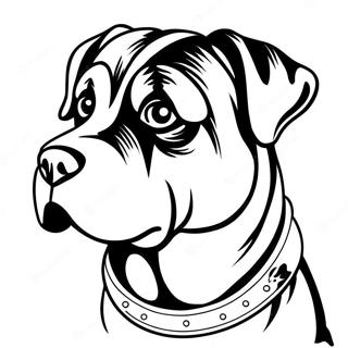 Rottweiler Coloring Page 30753-24632