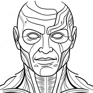 Human Muscles Anatomy Coloring Page 31173-24966