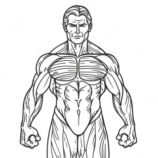 Detailed Human Muscles Coloring Page 31174-24969