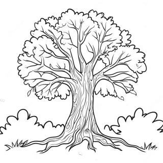 Fall Tree Outline Coloring Page 31253-25031