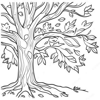 Fall Tree Outline Coloring Page 31253-25032