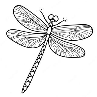 Dragonfly Coloring Page 3166-2575