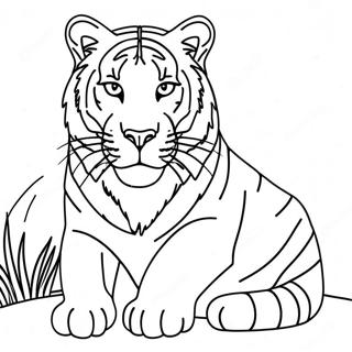 Big Cat Coloring Pages