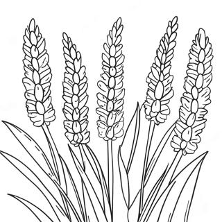 Lavender Flower Coloring Page 32273-25837