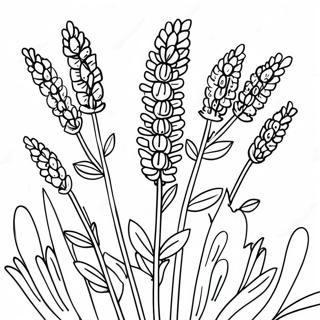 Lavender Flower Coloring Page 32273-25838