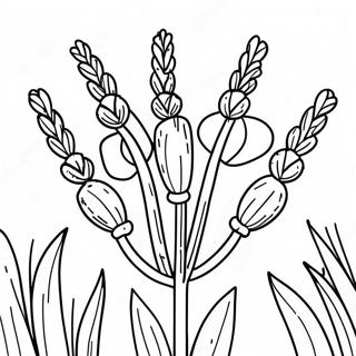 Lavender Flower Coloring Page 32273-25840