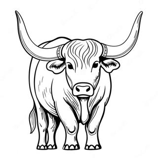 Longhorn Coloring Pages