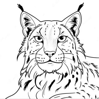 Lynx Coloring Pages