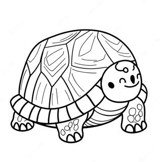 Tortoise Coloring Page 32643-26129