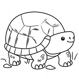 Cute Baby Tortoise Coloring Page 32644-26134