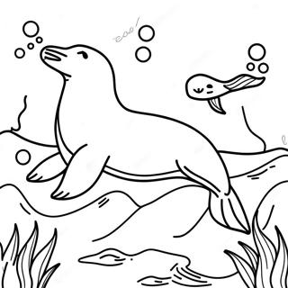 Sea Lion Swimming Playfully Coloring Page 32803-26255