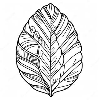 Turkey Feather Coloring Page 33003-26419