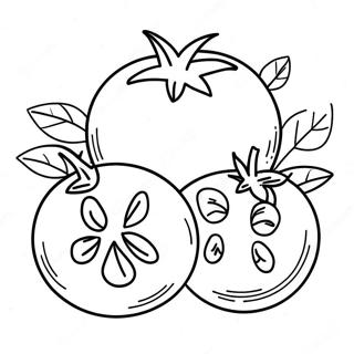 Tomato Coloring Page 33083-26483