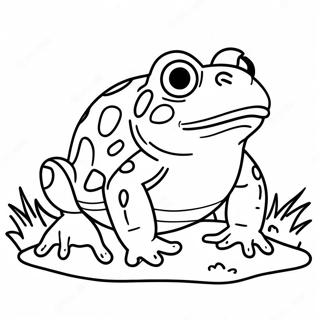 Toad Coloring Page 331-264