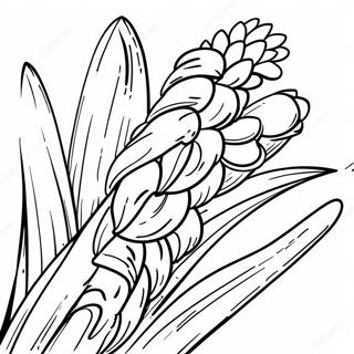 Cornstalk Coloring Pages