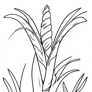 Cornstalk Coloring Page 34283-27439