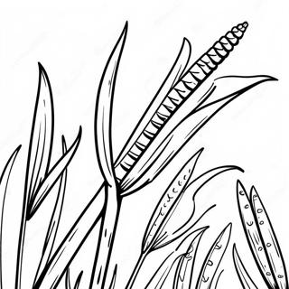 Tall Green Cornstalk Coloring Page 34284-27447