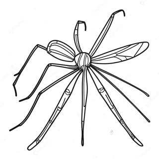 Daddy Long Legs Coloring Page 34933-27960