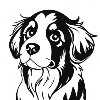 Cute Bernese Mountain Dog Puppy Coloring Page 35144-28123