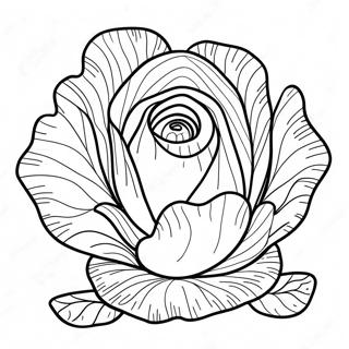 Lettuce Coloring Pages