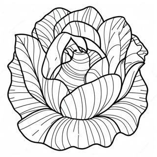 Lettuce Coloring Page 36353-29103