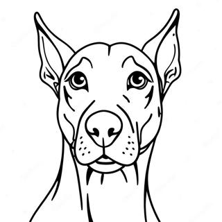 Doberman Coloring Page 36413-29144