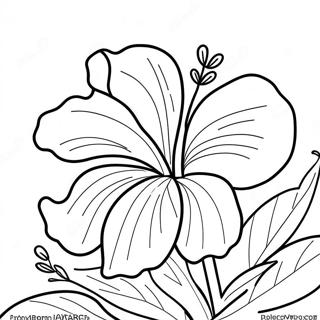 Colorful Hibiscus Flower Coloring Page 36824-29472