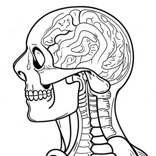 Anatomy And Physiology Coloring Page 37083-29671