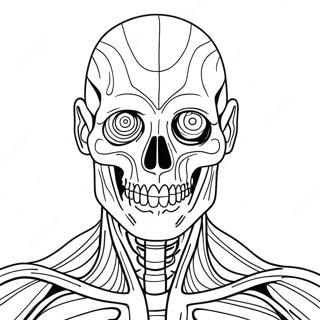 Anatomy And Physiology Coloring Page 37083-29672