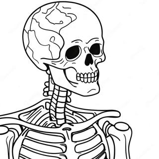 Human Skeleton Anatomy Coloring Page 37084-29674