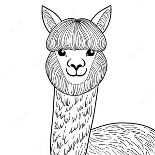 Alpaca Coloring Pages