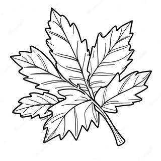 Holly Leaf Coloring Page 37313-29854