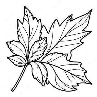 Holly Leaf Coloring Page 37313-29855