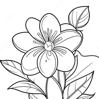 Orange Blossom Flower Coloring Page 38313-30652