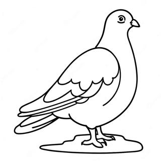 Pigeon Coloring Page 38623-30893