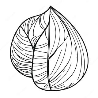 Tumble Leaf Coloring Page 38743-30996