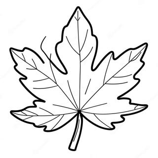 Maple Leaf Coloring Pages