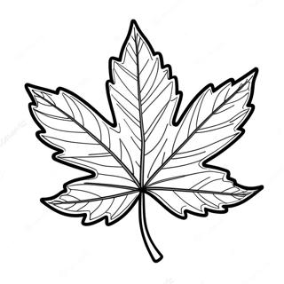 Detailed Maple Leaf Coloring Page 39374-31480