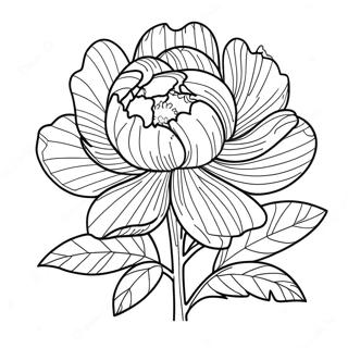 Peony Flower Coloring Page 39463-31551