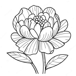 Peony Flower Coloring Page 39463-31552