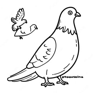 Pigeon Coloring Pages