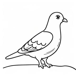 Pigeon Coloring Page 39473-31555