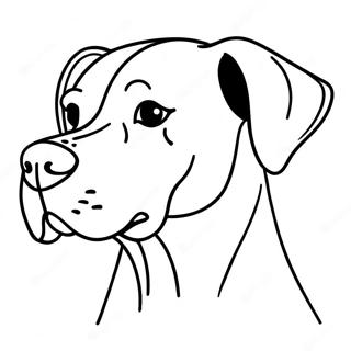 Great Dane Coloring Page 39503-31575