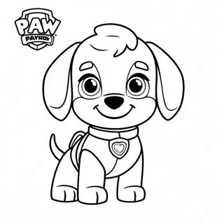 Paw Patrol Zuma Coloring Page 40013-31973