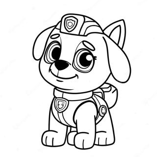 Paw Patrol Zuma Coloring Page 40013-31975