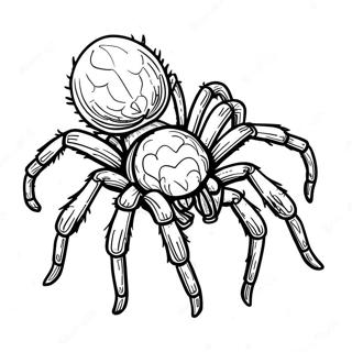 Tarantula Coloring Pages