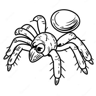 Tarantula Coloring Page 40093-32039