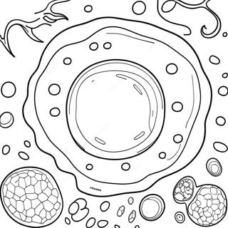 Animal Cell With Organelles Coloring Page 40194-32122