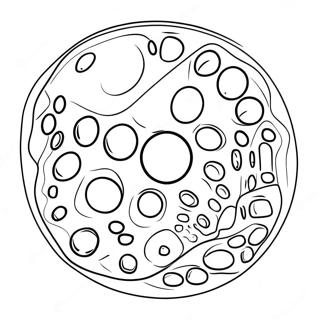 Animal Cell With Organelles Coloring Page 40194-32123